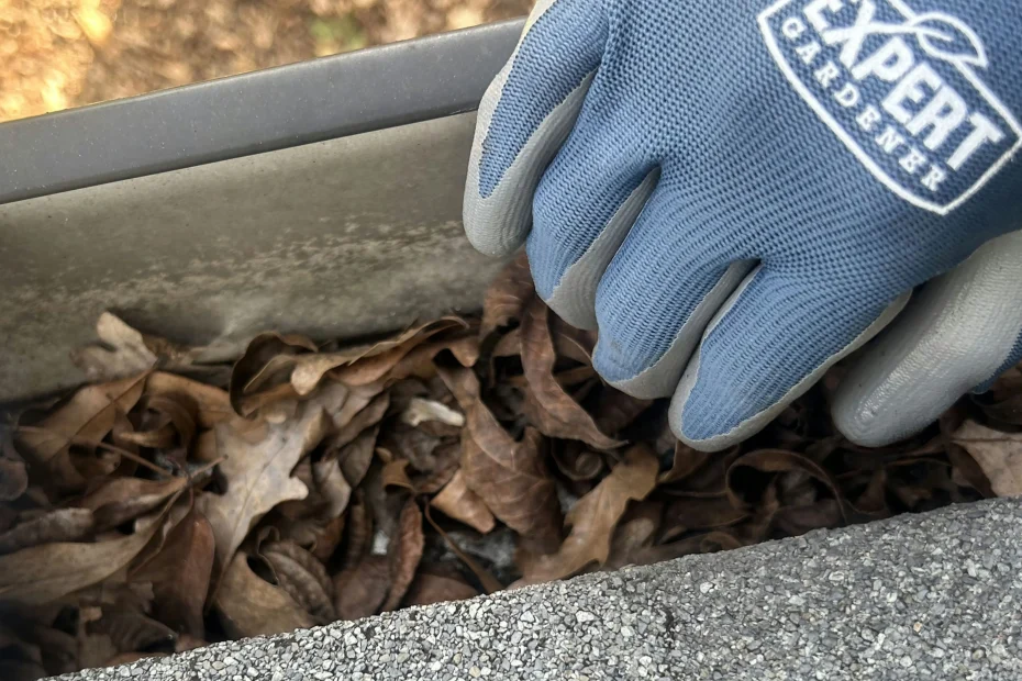 Gutter Cleaning Dripping Springs TX