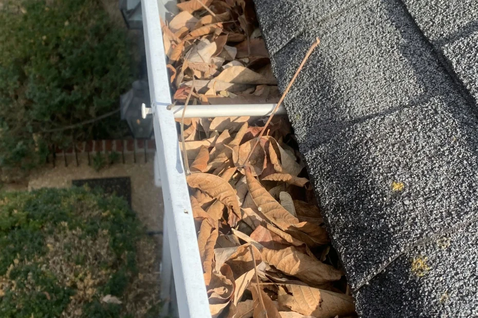 Gutter Cleaning Dripping Springs TX