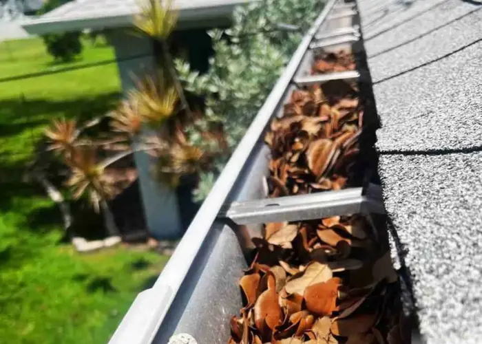 Gutter Cleaning Dripping Springs TX home page